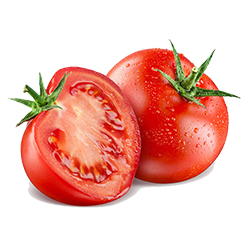 Fresh Tomatoes