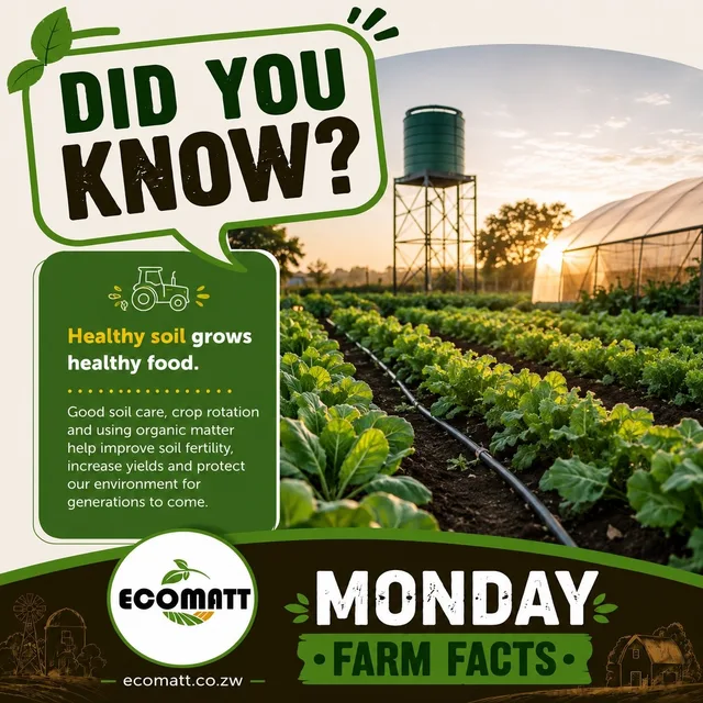 Farm fact: healthy soil grows healthy food