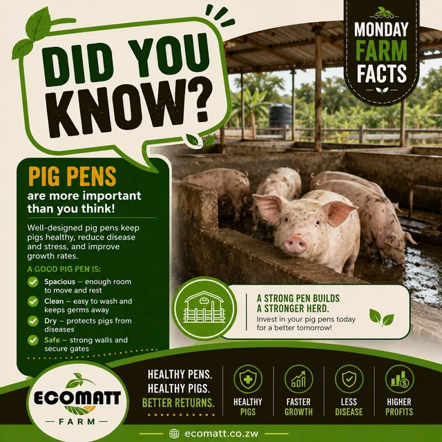 Farm fact: pig pens matter more than you think