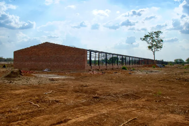 The long steel-framed structure taking shape