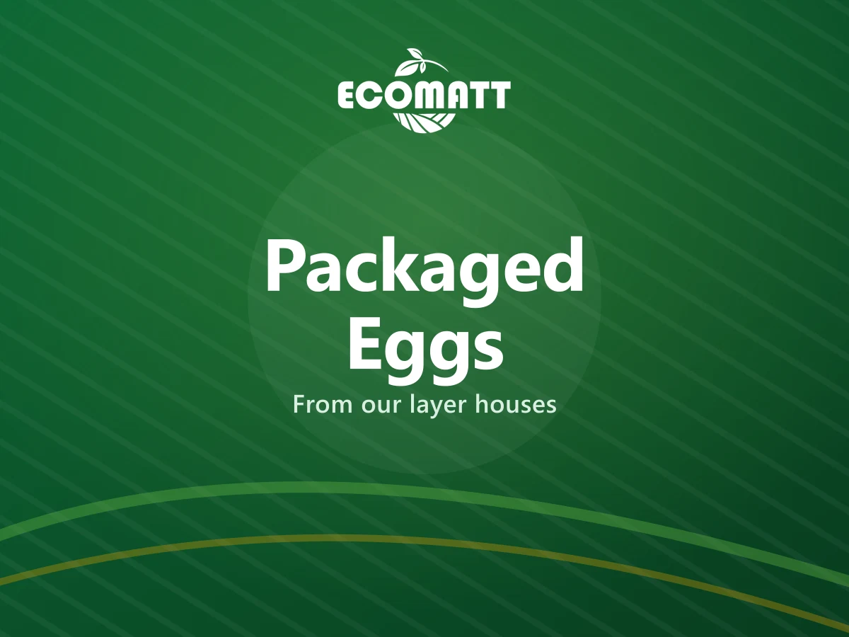 Packaged Eggs from Ecomatt Farm