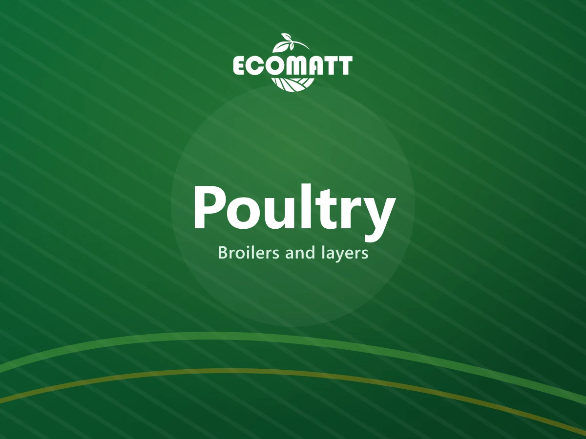 Poultry from Ecomatt Farm