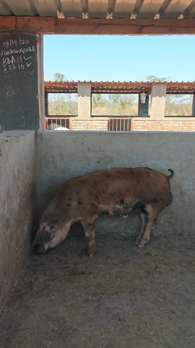 Building the farm